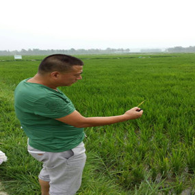 2014年與溫中申博士（留學(xué)日本）合作鹽堿地改良并重建土壤生態(tài)系統(tǒng)示范試驗(yàn)(圖2)