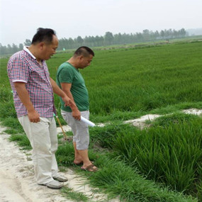 2014年與溫中申博士（留學(xué)日本）合作鹽堿地改良并重建土壤生態(tài)系統(tǒng)示范試驗(yàn)(圖3)