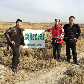 2014年與溫中申博士（留學(xué)日本）合作鹽堿地改良并重建土壤生態(tài)系統(tǒng)示范試驗(yàn)(圖6)