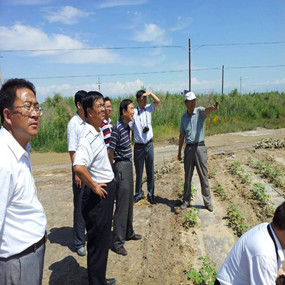 2013年河北張家口尚義縣領(lǐng)導(dǎo)及專家到新疆伊犁考察鹽堿地應(yīng)用禾康項目(圖3) 2013年河北張家口尚義縣領(lǐng)導(dǎo)及專家到新疆伊犁考察鹽堿地應(yīng)用禾康項目(圖3)