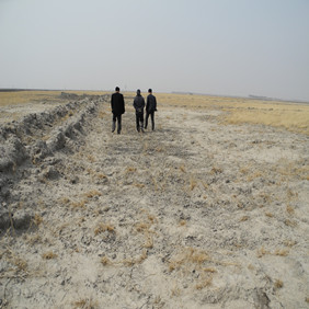 鹽堿地改良種植水稻—2012年吉林白城鎮(zhèn)賚縣鹽堿地種植水稻(開荒、打井、插秧、生長(zhǎng)和成熟全過程記錄)(圖2) 鹽堿地改良種植水稻—2012年吉林白城鎮(zhèn)賚縣鹽堿地種植水稻(開荒、打井、插秧、生長(zhǎng)和成熟全過程記錄)(圖2)