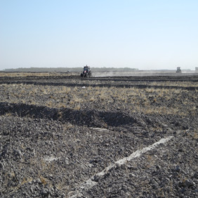 鹽堿地改良種植水稻—2012年吉林白城鎮(zhèn)賚縣鹽堿地種植水稻(開荒、打井、插秧、生長(zhǎng)和成熟全過程記錄)(圖6) 鹽堿地改良種植水稻—2012年吉林白城鎮(zhèn)賚縣鹽堿地種植水稻(開荒、打井、插秧、生長(zhǎng)和成熟全過程記錄)(圖6)