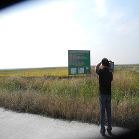 鹽堿地改良種植水稻—2012年吉林白城鎮(zhèn)賚縣鹽堿地種植水稻(開荒、打井、插秧、生長(zhǎng)和成熟全過程記錄)(圖11) 鹽堿地改良種植水稻—2012年吉林白城鎮(zhèn)賚縣鹽堿地種植水稻(開荒、打井、插秧、生長(zhǎng)和成熟全過程記錄)(圖11)