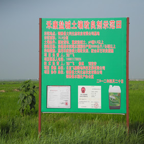 鹽堿地改良種植水稻—2012年吉林白城鎮(zhèn)賚縣鹽堿地種植水稻(開荒、打井、插秧、生長(zhǎng)和成熟全過程記錄)(圖10) 鹽堿地改良種植水稻—2012年吉林白城鎮(zhèn)賚縣鹽堿地種植水稻(開荒、打井、插秧、生長(zhǎng)和成熟全過程記錄)(圖10)
