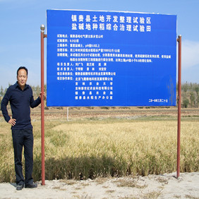 2010年吉林鹽堿地改良種稻示范(圖2) 2010年吉林鹽堿地改良種稻示范(圖2)