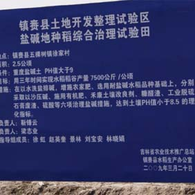 2009年吉林西部土地開(kāi)發(fā)項(xiàng)目現(xiàn)場(chǎng)會(huì)(圖4) 2009年吉林西部土地開(kāi)發(fā)項(xiàng)目現(xiàn)場(chǎng)會(huì)(圖4)