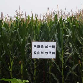 2007年陜西榆林市農(nóng)業(yè)技術(shù)推廣站應(yīng)用禾康(圖3) 2007年陜西榆林市農(nóng)業(yè)技術(shù)推廣站應(yīng)用禾康(圖3)