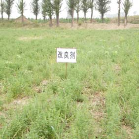 2007年陜西榆林市農(nóng)業(yè)技術(shù)推廣站應(yīng)用禾康(圖5) 2007年陜西榆林市農(nóng)業(yè)技術(shù)推廣站應(yīng)用禾康(圖5)