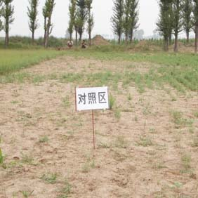 2007年陜西榆林市農(nóng)業(yè)技術(shù)推廣站應(yīng)用禾康(圖6) 2007年陜西榆林市農(nóng)業(yè)技術(shù)推廣站應(yīng)用禾康(圖6)