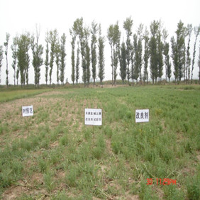 2007年陜西榆林市農(nóng)業(yè)技術(shù)推廣站應(yīng)用禾康(圖7) 2007年陜西榆林市農(nóng)業(yè)技術(shù)推廣站應(yīng)用禾康(圖7)