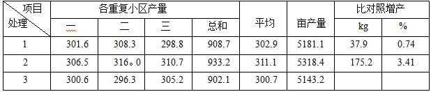 鹽堿地種植加工番茄施用禾康試驗(yàn)（新疆昌吉，番茄）(圖2)