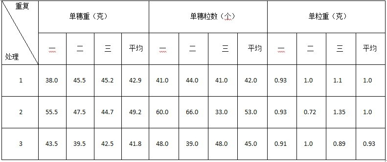 鹽堿地種植釀酒葡萄施用禾康肥效試驗(yàn)（新疆昌吉，葡萄）(圖4)
