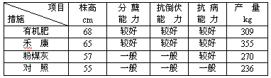 鹽堿地種小麥禾康改良試驗(yàn)（新疆克拉瑪依，小麥）(圖1)